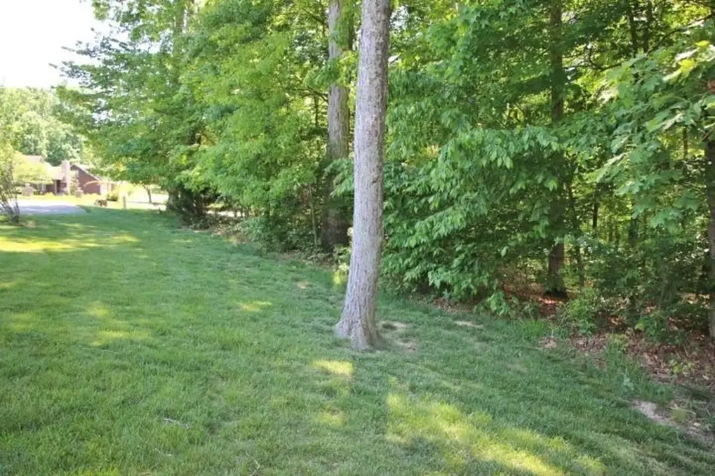 Picture 16
