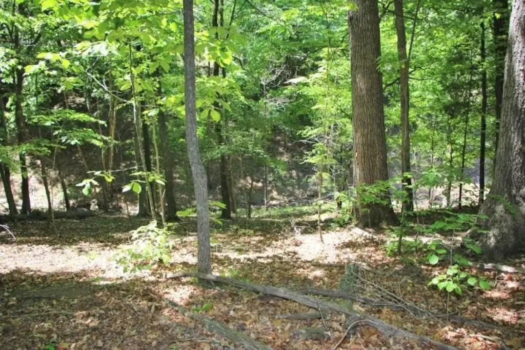 Picture 7