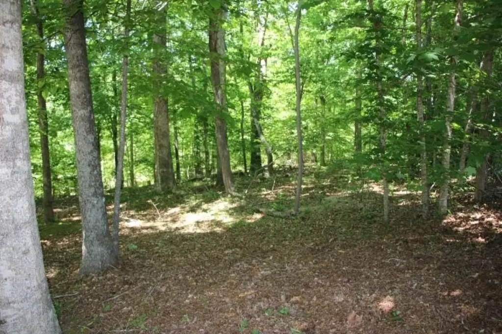Picture 3