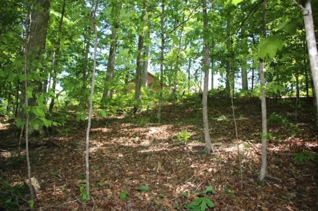 Picture 9
