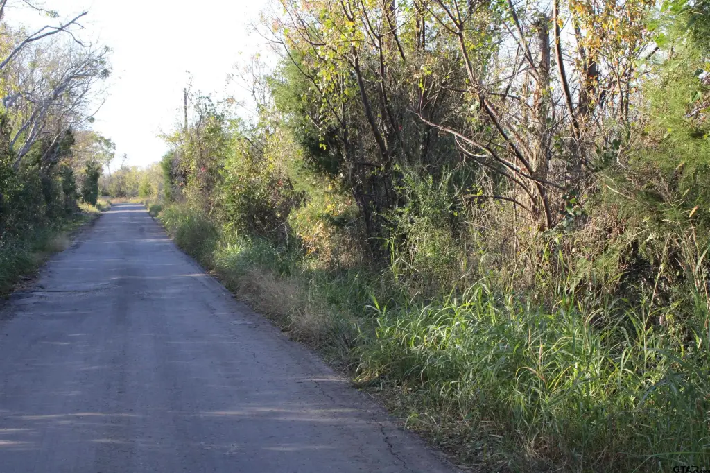 Picture 14