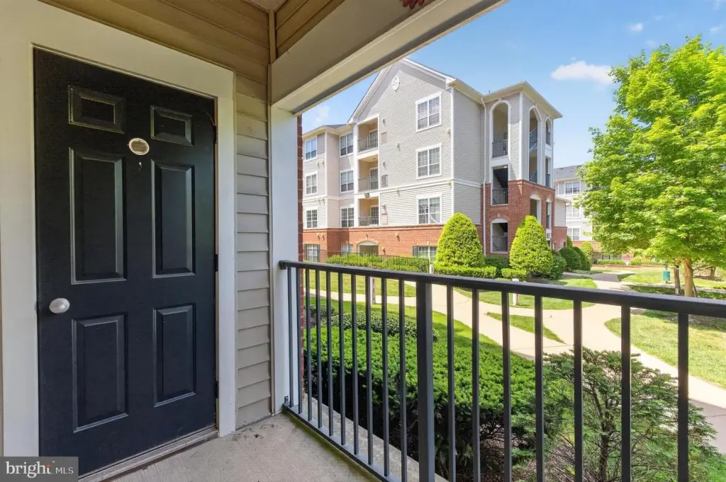 Picture 22
