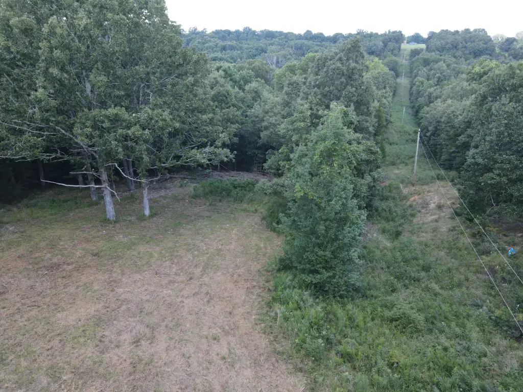Picture 2