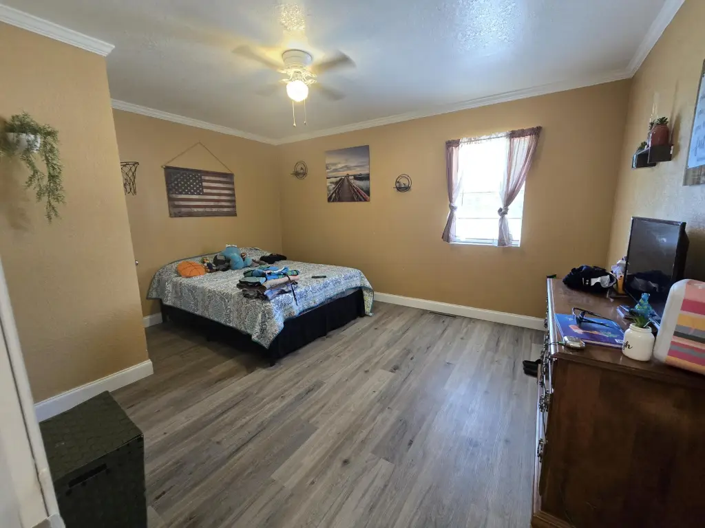Picture 33