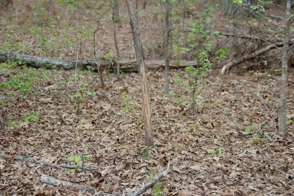 Picture 16