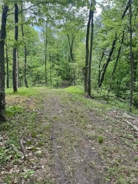 Picture 3