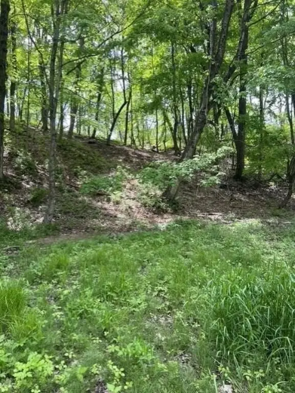 Picture 8