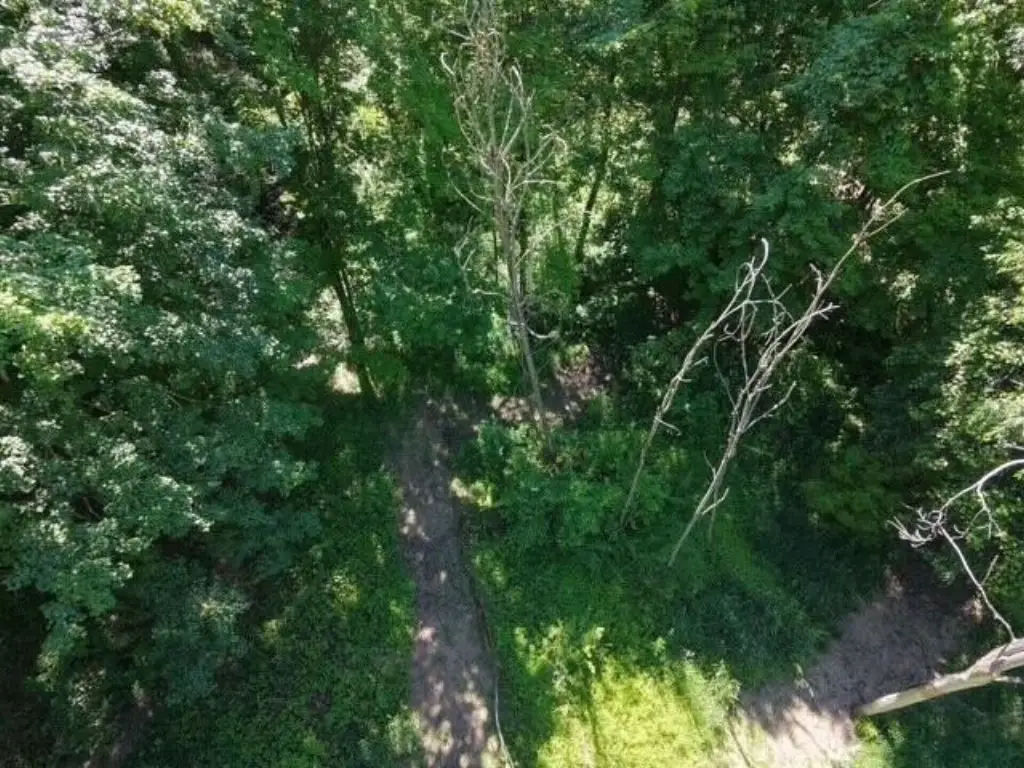 Picture 13