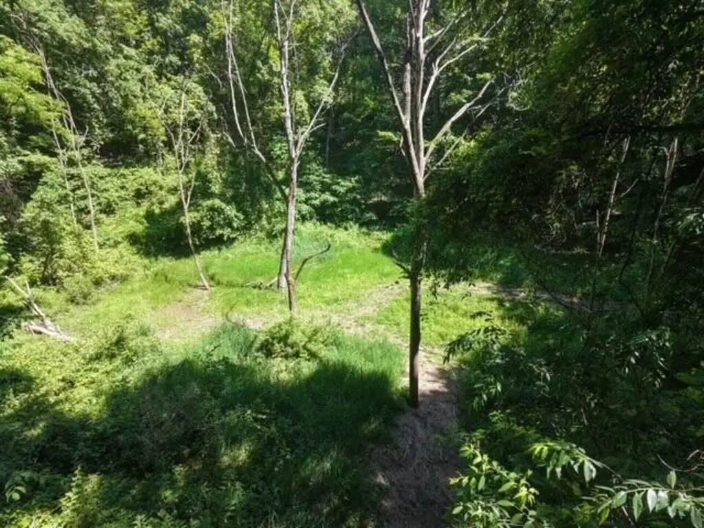 Picture 14
