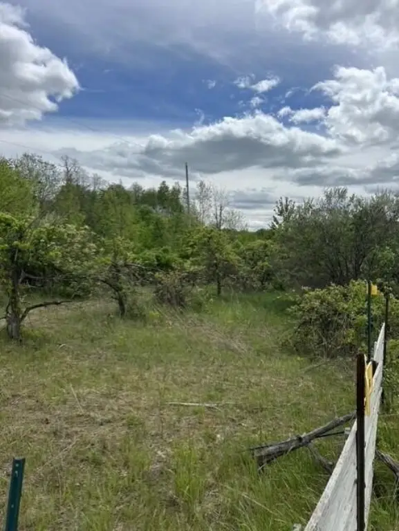 Picture 11