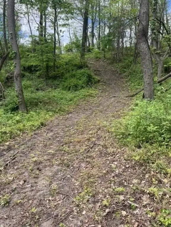 Picture 5