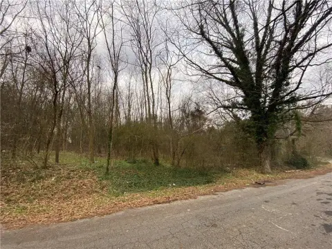 Anderson Buildable Lots Investment Opportunity