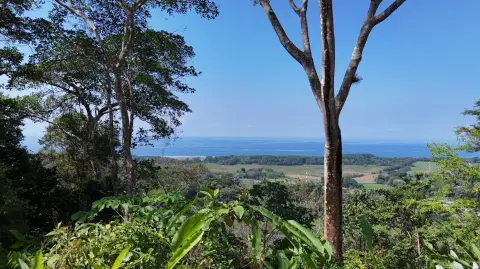 Dominical Ocean View Development Property