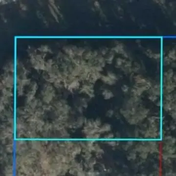 Wooded Lot in Fanning Springs