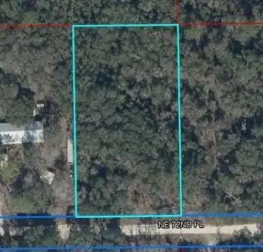 Wooded Parcel in Bronson, Florida