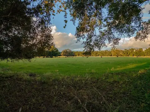 Trenton, Florida Land Opportunity