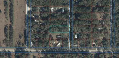 Wooded Lot in Trenton