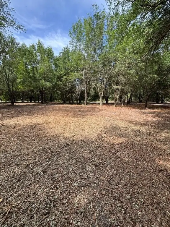 Picture 7