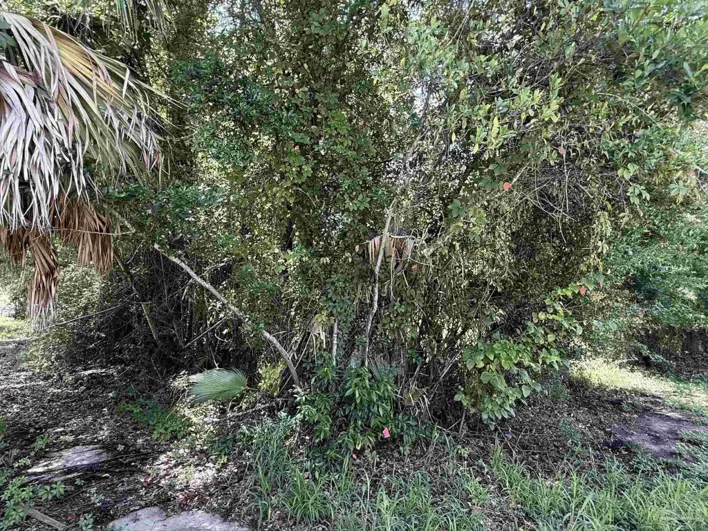 Picture 5