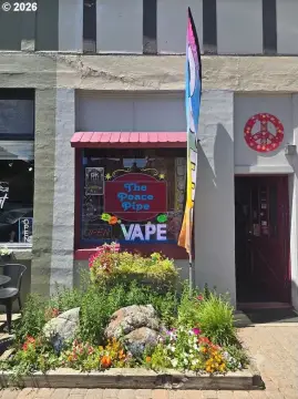 Storefront Business with Equipment