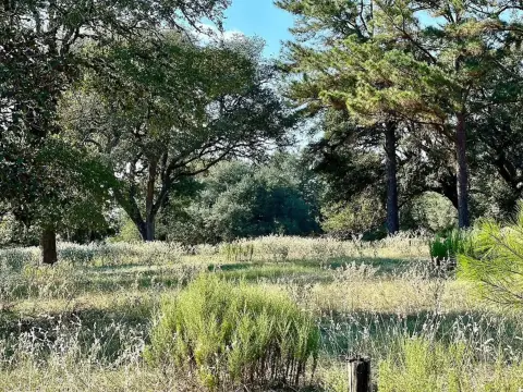 Sheridan, TX Wooded 20 Acres