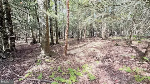 Lake Ariel Land Opportunity