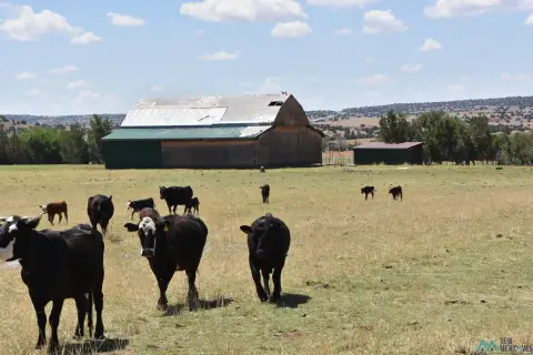 Land with Water Rights, Barn