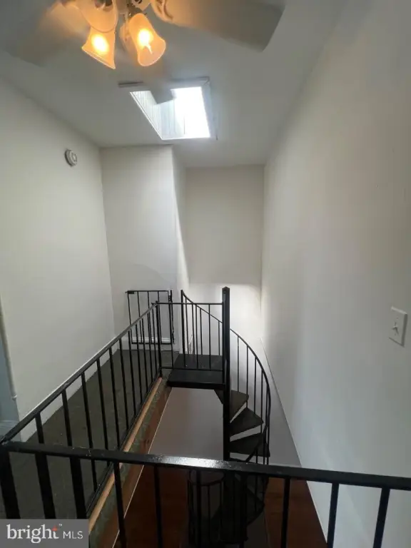 Picture 14