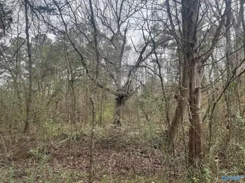 Decatur Acreage with Development Potential