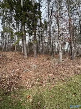 Guntersville Land with Road Frontage