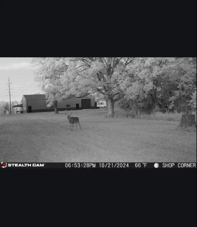 Picture 17