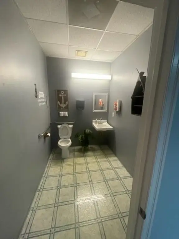 Picture 5