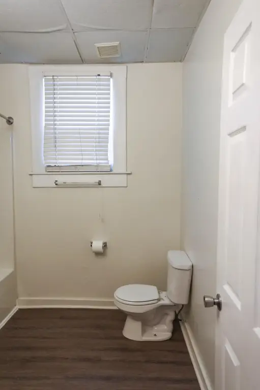 Picture 16