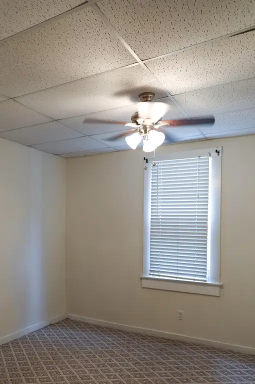 Picture 27