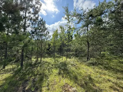 Wooded Land Near State Land