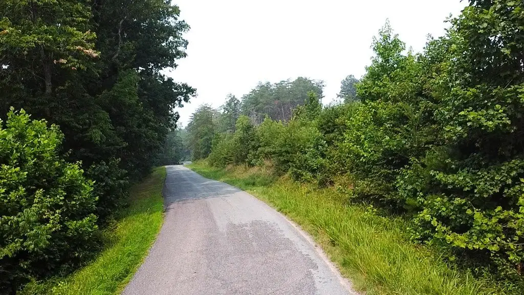Picture 20