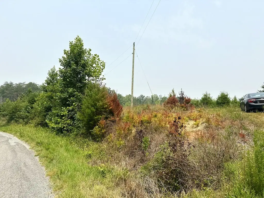 Picture 18