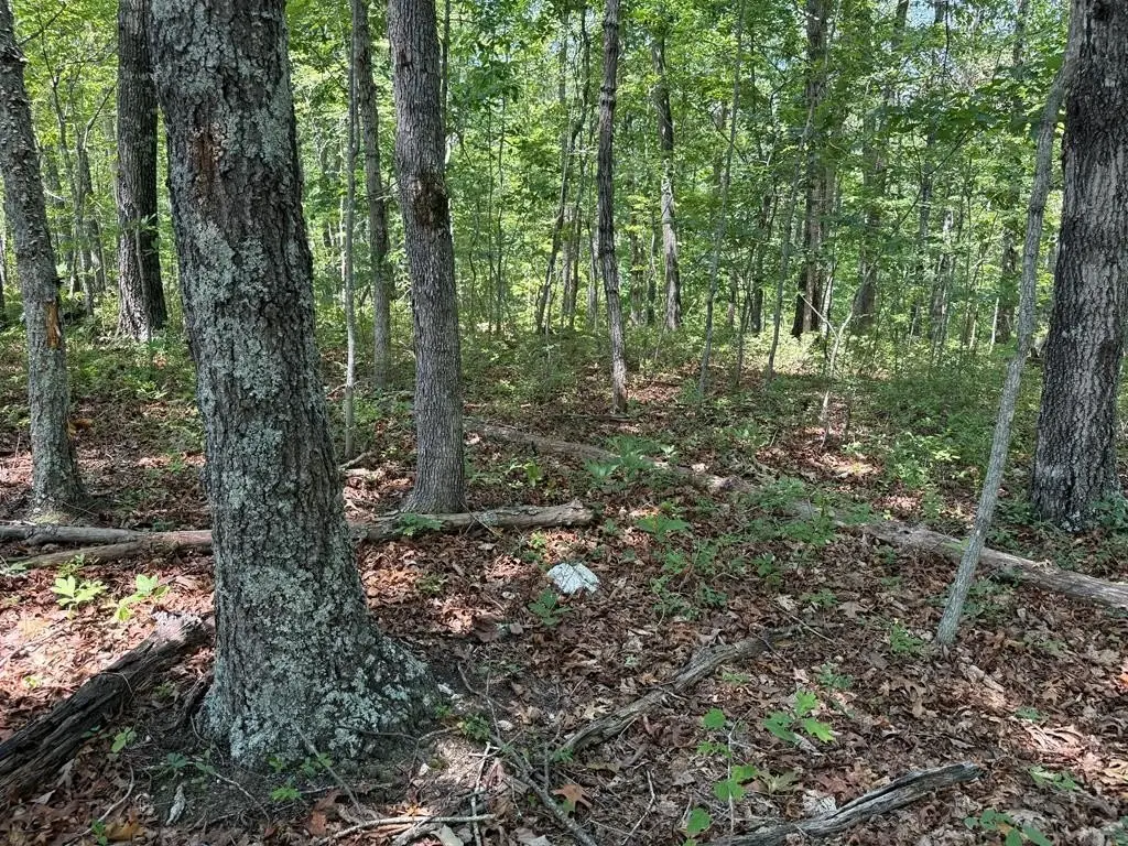 Picture 39