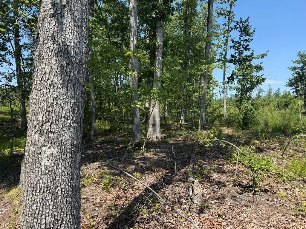 Picture 11