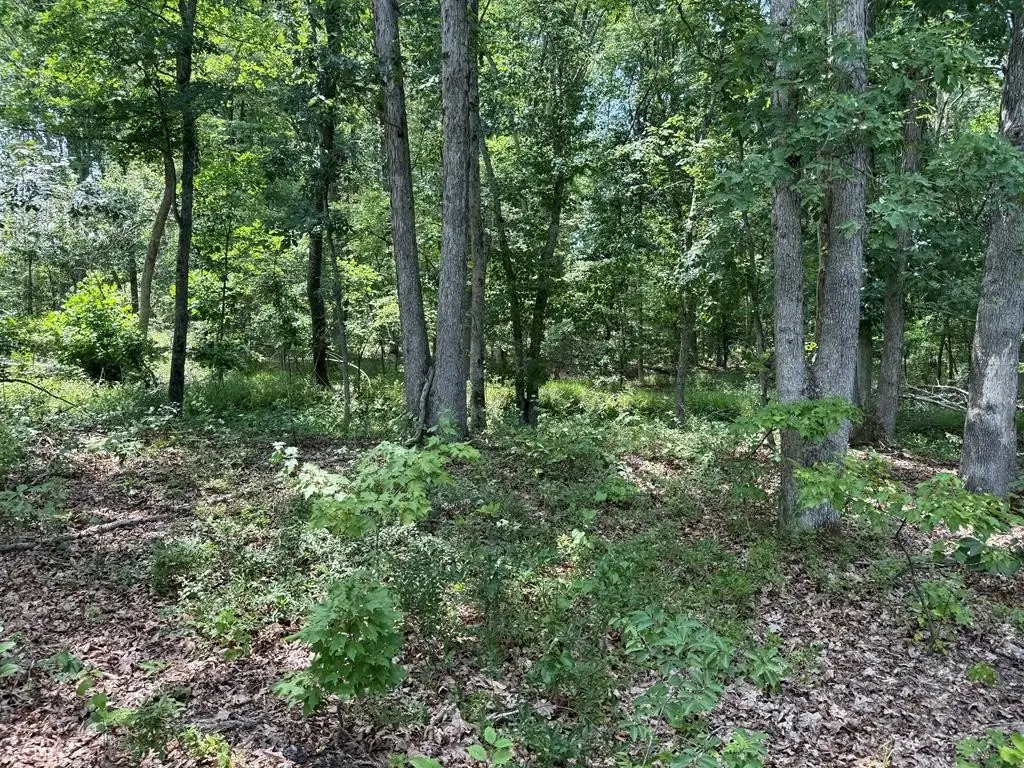 Picture 41