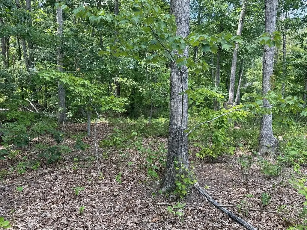 Picture 16