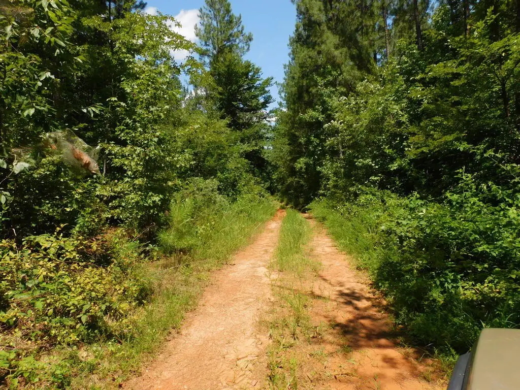 Picture 24