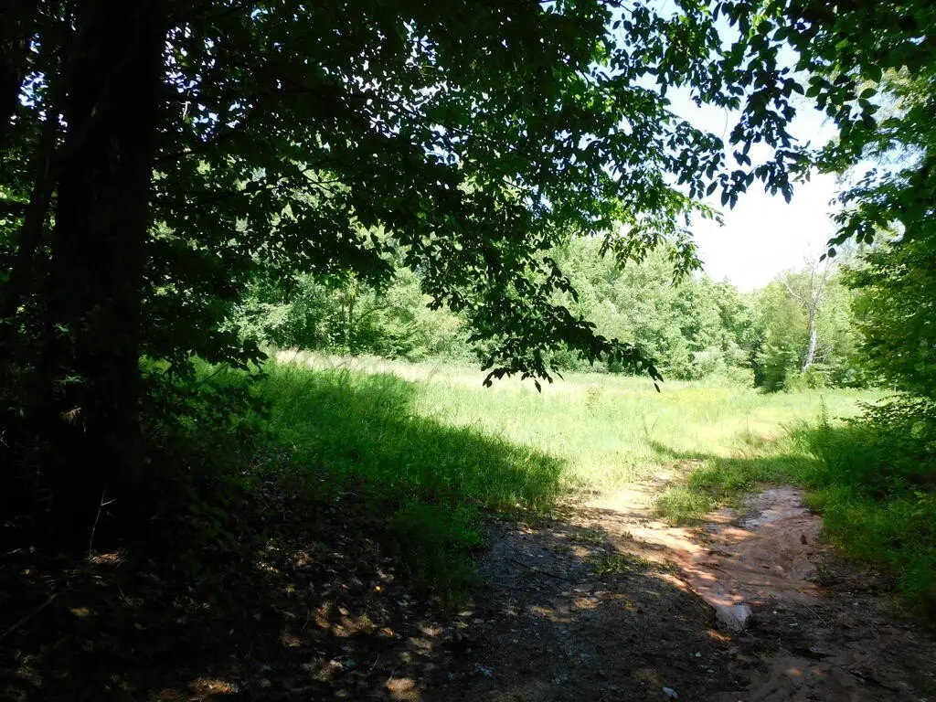 Picture 26