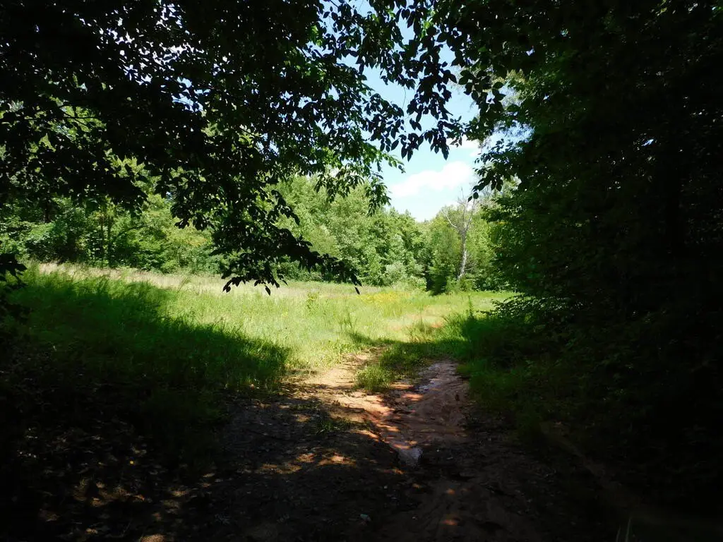 Picture 28