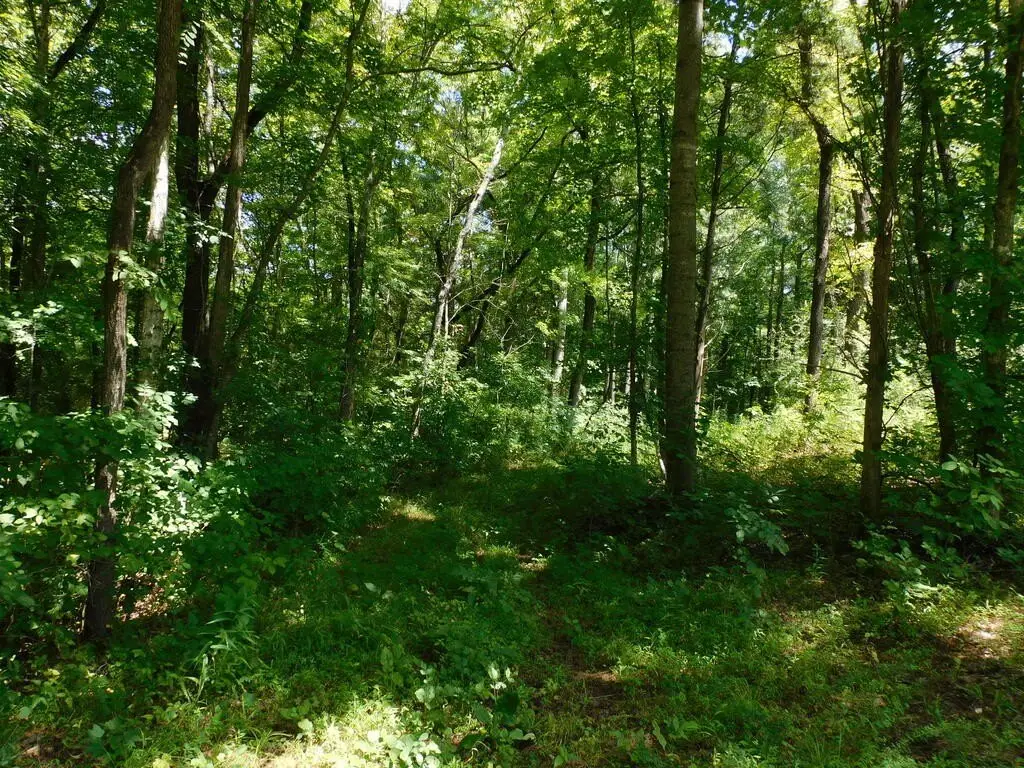 Picture 39