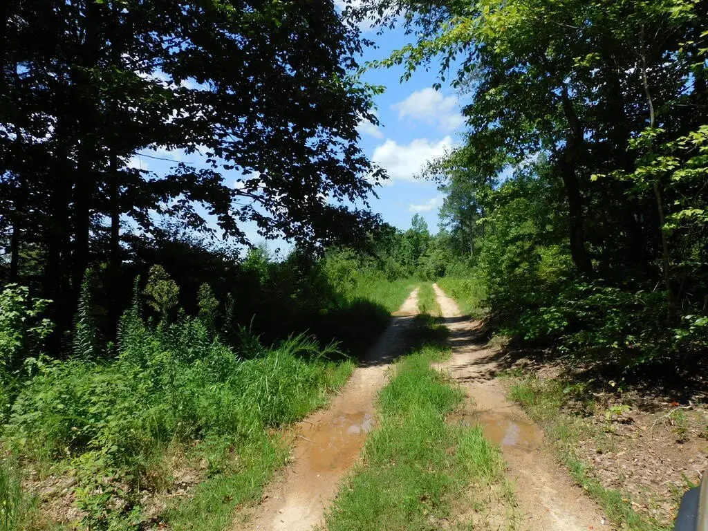 Picture 22