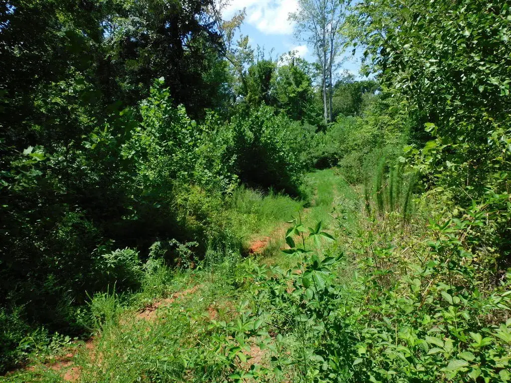 Picture 31