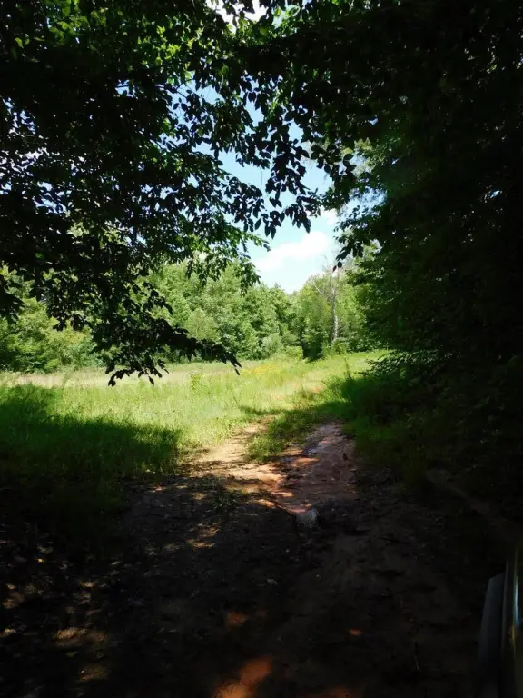 Picture 25