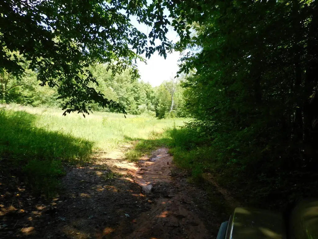 Picture 27