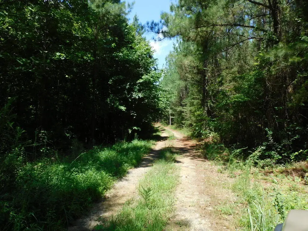 Picture 21